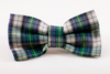 Green and Blue Prep School Plaid Bow Tie Dog Collar