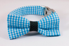Carolina Panthers Blue and Black Dog Bow Tie Collar