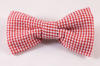 Repuplican Gingham Bow Tie Dog Collar