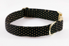Black and Gold Polka Dot Girl Dog Flower Bow Tie Collar