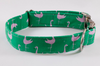 Preppy Green and Pink Flamingo Dog Collar
