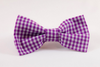 Preppy Purple Gingham Dog Bow Tie