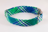 Preppy Green and Blue Madras Plaid Bow Tie Dog Collar