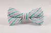 Preppy Pink and Green Seersucker Bow Tie Dog Collar