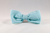 Preppy Mint Green Seersucker Bow Tie Dog Collar