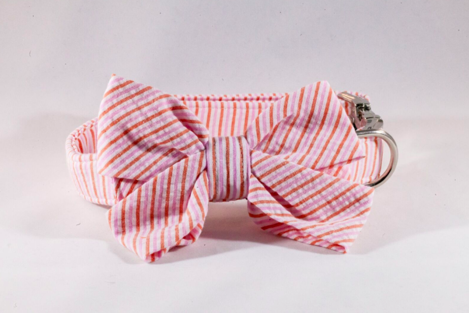 Preppy Pink and Orange Sherbet Seersucker Girl Bow Tie Dog Collar