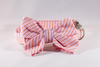 Preppy Pink and Orange Sherbet Seersucker Girl Bow Tie Dog Collar