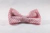 Preppy Pink and Orange Sherbet Seersucker Dog Bow Tie