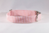 Preppy Pink and Orange Sherbet Seersucker Dog Collar