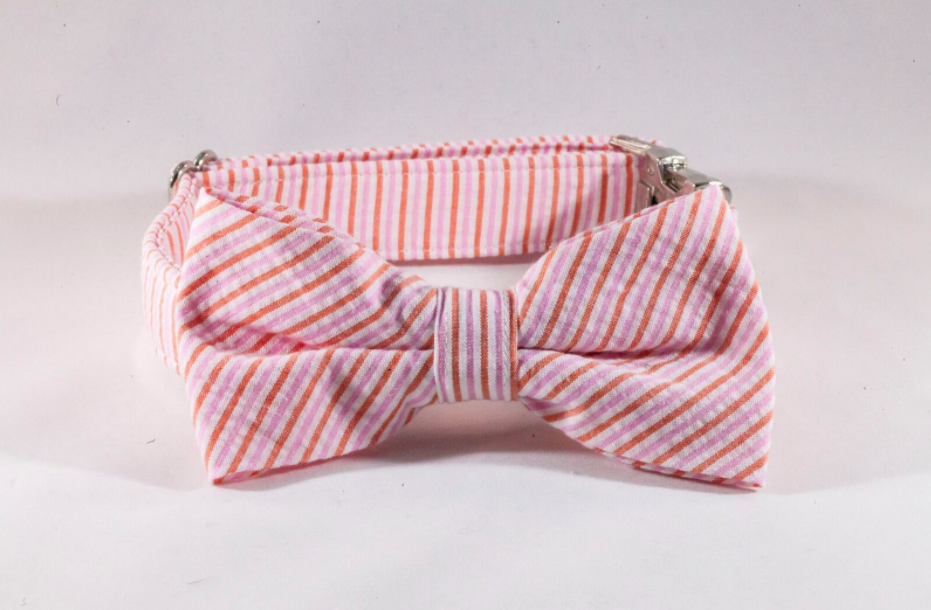 Preppy Pink and Orange Sherbet Seersucker Bow Tie Dog Collar