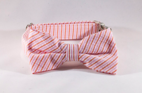 Preppy Pink and Orange Sherbet Seersucker Bow Tie Dog Collar