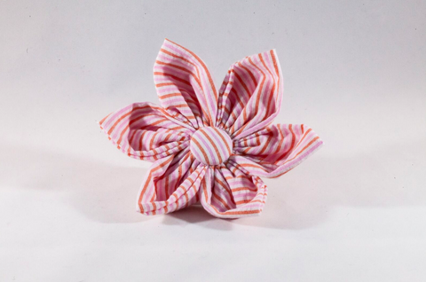 Preppy Pink and Orange Sherbet Seersucker Girl Dog Flower Bow Tie