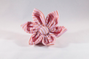 Preppy Pink and Orange Sherbet Seersucker Girl Dog Flower Bow Tie