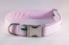 Preppy Pink Seersucker Alligator Girl Bow Tie Dog Collar