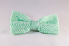Preppy Green Seersucker Bow Tie Dog Collar