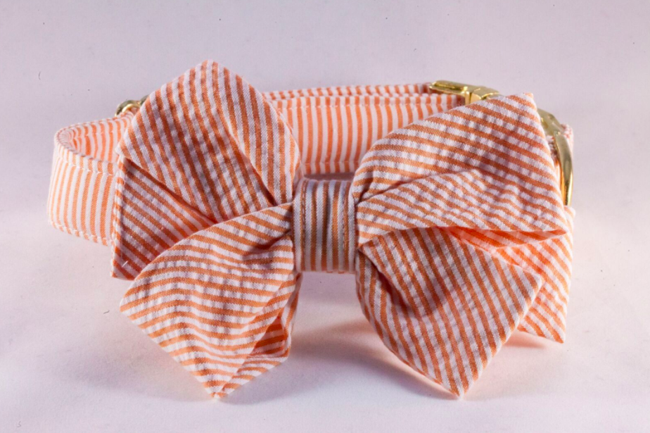 Preppy Orange Seersucker Girl Dog Bow Tie Collar