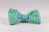 Preppy Blue and Green Gingham Dog Bow Tie