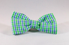 Preppy Blue and Green Gingham Dog Bow Tie Collar