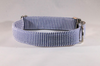 Preppy Navy Blue Seersucker Dog Collar