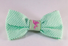 Preppy Green and Pink Flamingo Seersucker Dog Bow Tie Collar