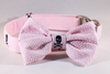 Preppy Pink Skull and Crossbones Girl Dog Bow Tie Collar