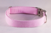 Preppy Pink Seersucker Bow Tie Dog Collar