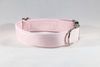 Preppy Pink Oxford Girl Dog Flower Bow Tie Collar