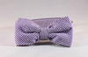 Preppy Purple Seersucker Bow Tie Dog Collar