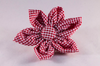 Preppy Red Gingham Girl Dog Flower Bow Tie