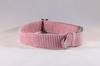 Preppy Red Seersucker Dog Collar