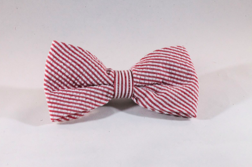 Preppy Red Seersucker Dog Bow Tie