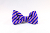 Preppy Red White and Blue Patriotic Stripes Dog Bow Tie Collar