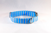 Preppy Aqua and Coral Seaside Stripes Girl Dog Flower Bow Tie Collar