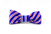Red White and Blue Patriotic Stripes Kitty Cat Bow Tie Collar