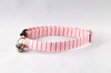 Preppy Pink and Orange Sherbet Seersucker Kitty Cat Collar