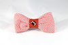 Preppy Red Gingham NC State Football Bow Tie Dog Collar, North Carolina State