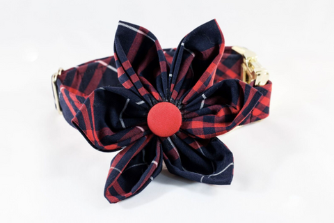 Navy and Red Old South Plaid Girl Dog Flower Bow Tie Collar