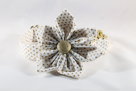 White and Gold Polka Dot Girl Dog Flower Bow Tie Collar