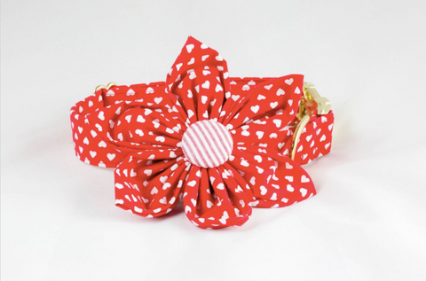 Be My Valentine Red Hearts and Seersucker Girl Dog Flower Bow Tie Collar