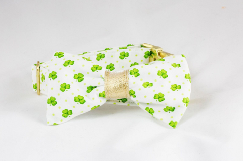 Luck of the Irish St. Patrick's Day Green and Gold Clover Bow Tie Dog Collar