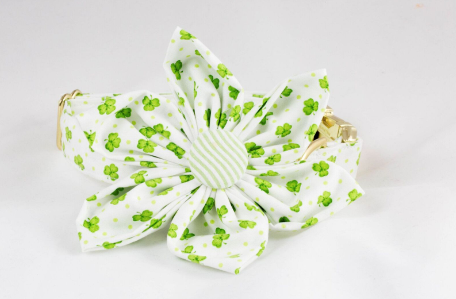 Luck of the Irish St. Patrick's Day Green Seersucker Clover Girl Dog Flower Bow Tie Collar