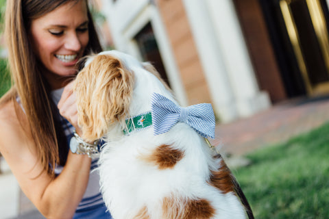 Hunt Club Equestrian Seersucker Bow Tie Dog Collar